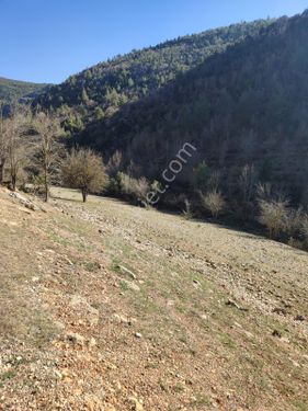  TOPRAK GAYRIMENKULDEN ÇAMLIYAYLA BAĞÇATAĞI MAHALLESİNDE YOL KENARI SATILIK TARLA