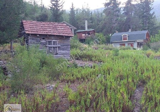 kemer'e yaklaşık 15 kilometre uzaklıkta gedelma yaylası'nda  yolu ve doğal kaynak  suyu vardır