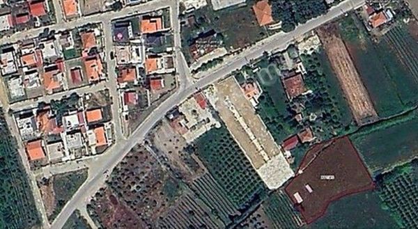 İzmir Selçuk Burgaz'da(Gökçealan) Satılık Arazi