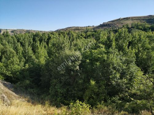  YAKINCA DA KANALYOLU PROJESİ BÖLGESİNDE 2850m² BAHÇE