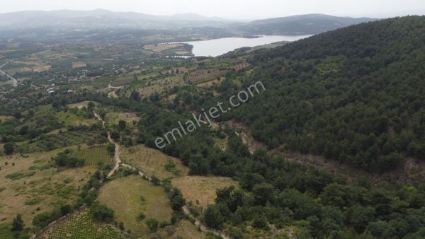  ÇANAKKALE BAYRAMİÇ MOLLAHASANLAR KÖYÜ FIRSAT BAĞ VE TARLA