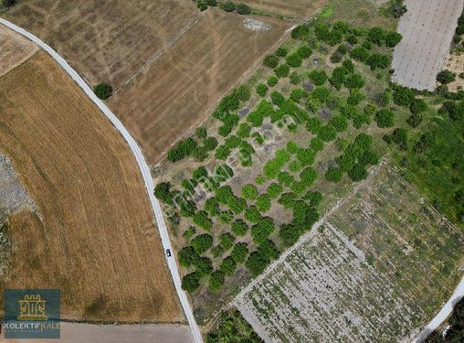 ÇANAKKALE MERKEZ ÇINARLI SATILIK 9.400M2 HİSSELİ KAYISI BAHÇESİ