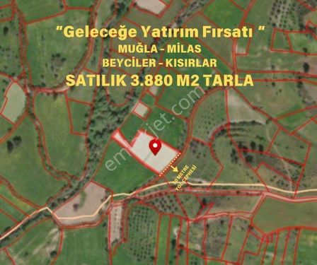  MUĞLA MİLAS BEYCİLER-KISIRLAR SATILIK 3.880 M2 TARLA 