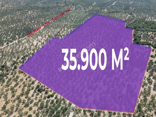  Çanakkale Ezine Gökçebayır Köyünde 35.900 M² Satılık Zeytinlik