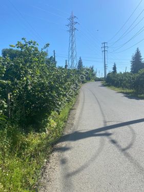  ROTA MODERN 'DEN ORDU DA SATILIK YOL KENARINDA YATIRIMLIK ARSA