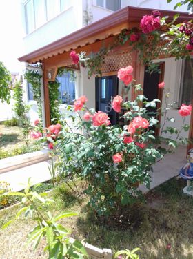 Çanakkalr ayvacık Mıhlı mahallesi site içi bahçeli villa