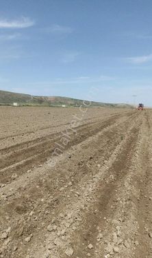 Konya'da sulu tarım arazisi