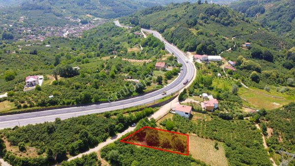 Dokuzpınar Köyü'nde Akçakoca Yoluna Cephe 1.059 M2 Satılık Tarla