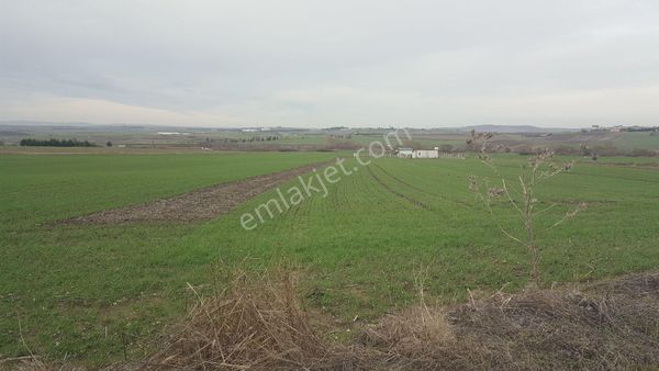 SİLİVRİ KÜÇÜKKILIÇLI SATILIK TEK TAPU 7040 M2 TARLA 