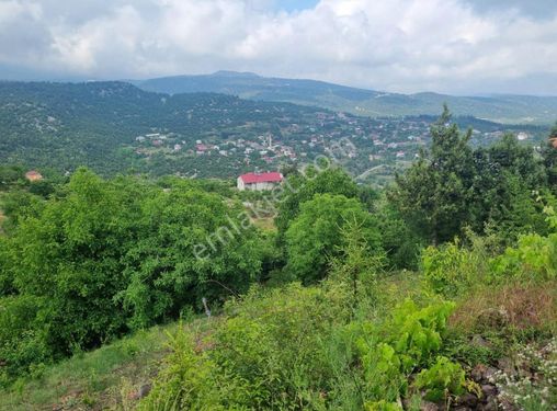 MERSİN TOROSLAR KAVAKLIPINAR MAH.'DE SATILIK BAHÇE