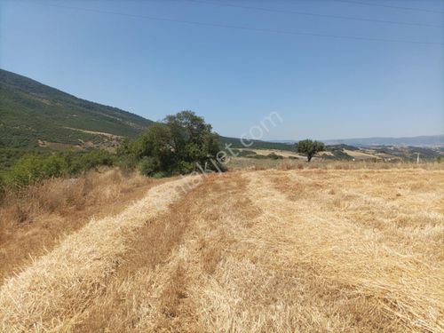 MUSTAFAKEMALPAŞA BOSTANDERE MAHALLESİNDE KÖY DİBİNDE SATİLİK TARLA