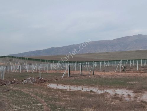  YILMAZ GAYRIMANKULDEN SINCANA 15 KM  HOBI BAHCESİ KACIRILMAYACAK FIRSAT  GELECEGE YATIRIM     