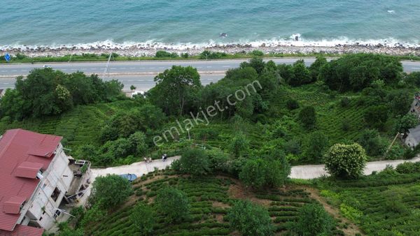  RİZE MERKEZ GÜNDOĞDUDA DENİZ MANZARALI ARSA