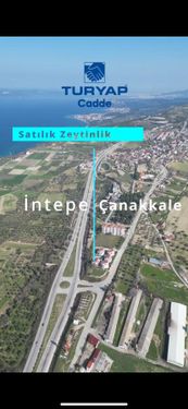  ÇANAKKALE İNTEPE 14,504 METREKARELIK ZEYTİNLİK