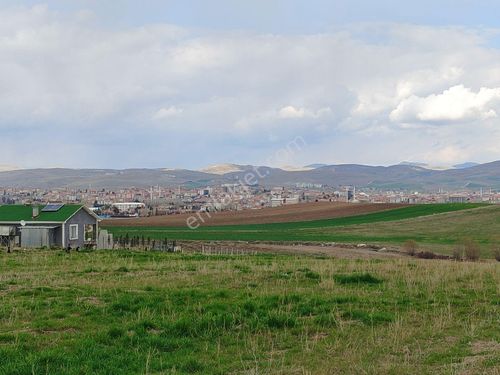 Acill Yatırımlık Arsa