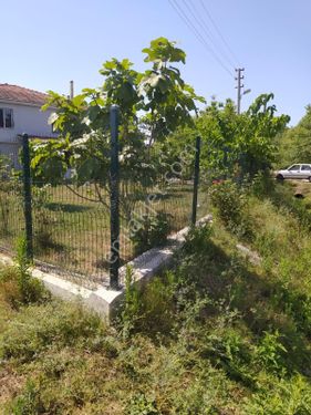 Samsun Çarşanba Kuşhane Mah 2 Katli Çiflık Evi Ve10 Dönum Findik Bahcesi Satılık Acıl