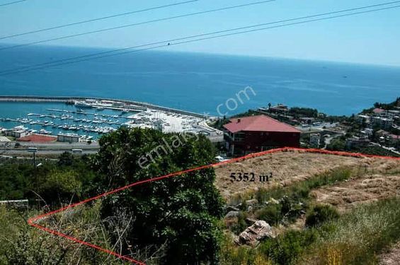  ALANYA ELİKESİK DE SATILIK 5.350 M2 TARLA