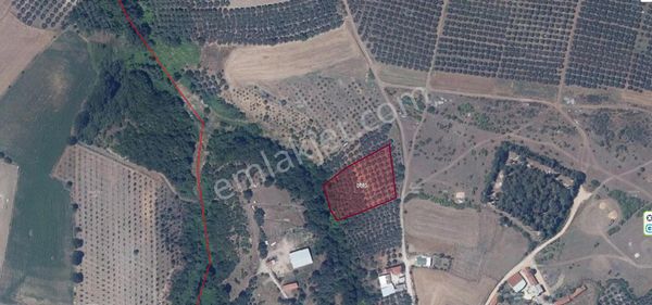  BALIKESİR GÖNEN ÇİFTEÇEŞMELER 3.850 M2 İMARA AÇIK SATILIK TARLA