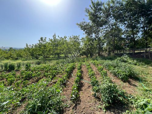  SAKARYA SÖĞÜTLÜ BEŞDEĞİRMEN KÖY İÇİ İMARLI 2860 m2 ARSA