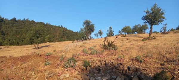  ANTALYA KONYAALTI ÜÇOLUK MAHALLESİ SATILIK PASEL