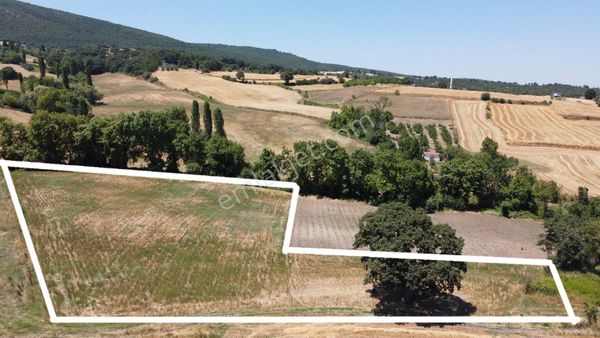 Balıkesir Gönen Yeniakçapınar Köyümüz'de Dereye cebhe TARLAMIZ Satışta 