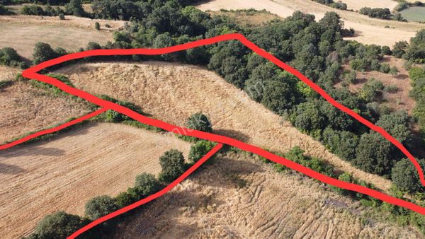 Balıkesir Gönen Muratlar Köyümüz'de 22.550m²tarlalarımız Satışa Sunulmuştur