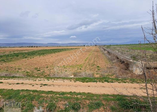 NET PREMİUM'DAN ÇİVRİL ÇITAK DA SULAK TARLA