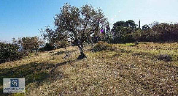 Karaburun İnecik Kaynarpınar'da Muhteşem Deniz Manzaralı Arsa