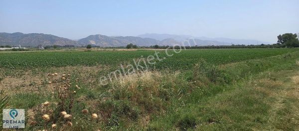 Sınırteke mahallesinde anayola çok yakın satılık verimli tarla