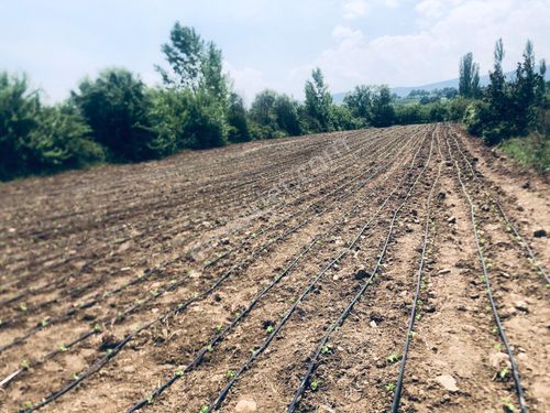 BURSA İNEGÖL YENİCEKÖYDE SATILIK TARLA 