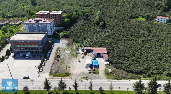 ORDU KARACAÖMER ANAYOL ÜZERİ KİRALIK TİCARİ ARSA