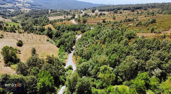 EMLAXO'dan İzmit Yassıbağ'da 1369m2 Köy İçi Yollu %40 imar