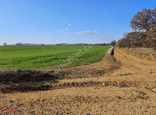 Her projeye uygun 54.900 m2 ticari arazi satiyoruz