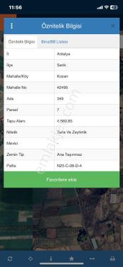 Serik Kozan'da 4070 Metre Tek Tapu Zeytin Bahçesi