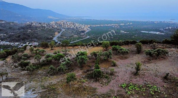 MENDERES GÜMÜLDÜRDE DENİZ MANZARALI DOĞA HARİKASI BAHÇELER