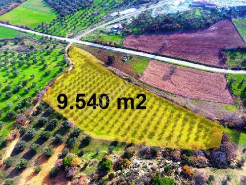  ▇▅▃MARS'TAN PELİTKÖY'DE YATIRIMA UYGUN 9540M2 TARLA