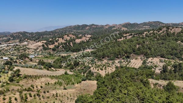 Turgutlu Bozkır Mah. Satılık Arazi