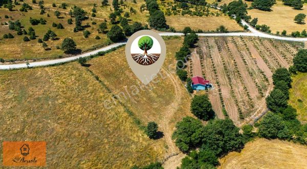 ADİL ARASLIDAN LAPSEKİ HARMANCIK KÖYÜNDE 4972M2 YOLA CEPHE TARLA