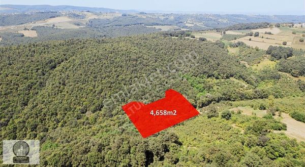 Fırsat İzmit Ortaburun Köyünde 4658 M2 Satılık Tarla