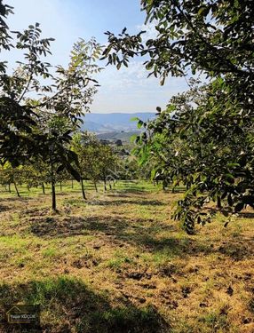 Kocaeli Karamürsel'de Kelepir müstakil ev ve arsası