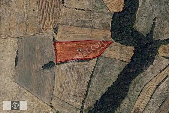 Edirne Havza Bakışlarda 1.327 m2 Yatırımlık Arsa