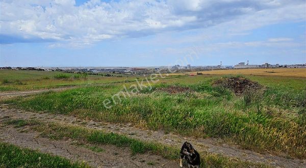 TRKİRDAĞ ERGENE KIRIKGÖZ DE İMAR DİBİNDE 410M CAPLI YER