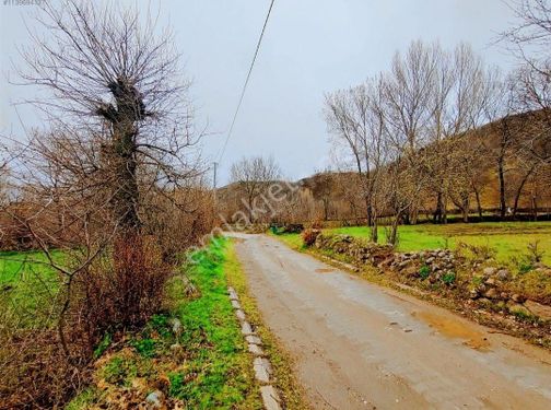 SARIKTA HER KESEYE UYGUN SATILIK BAĞ BAHÇE 