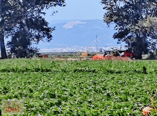 CEMAL EMLAK BURSA MUSTAFAKEMALPAŞA TEPECİK İZMİR YOLU İLÇE 5 DK