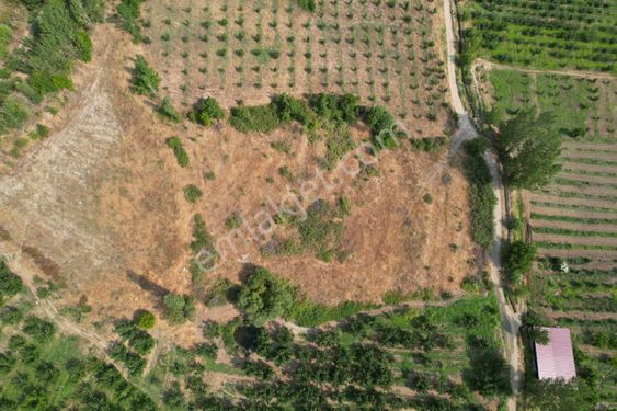 Bayramiç Evciler'de Kadastral Yolu Ve Suyu Olan Elma Bahçesi