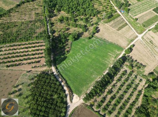 İNEGÖL CERRAH TA ÇİFT YOLA CEPHELİ MUAZZAM SATILIK TARLA