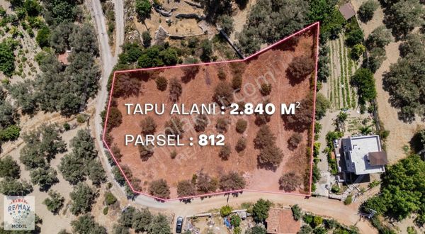 İzmir Karaburun İnecik'te Satılık 2840 m2 Zeytin Ağaçlı Tarla