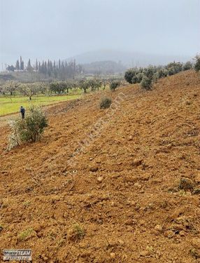 OSMANGAZİ AVDANCIK 'TA MANZARALI FIRSAT ARAZİ