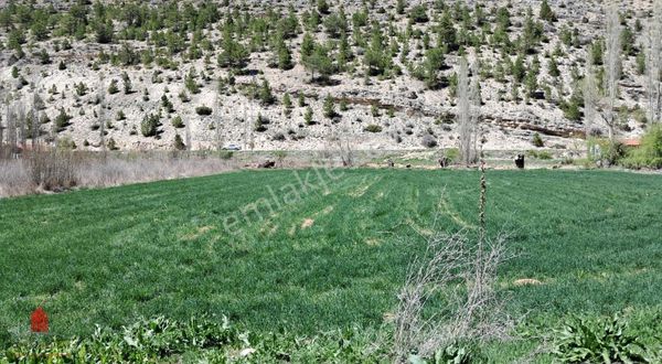 Başarakavakta Dere Kenarı ve Yolu Olan 3068m2 Satılık Bahçe Yeri