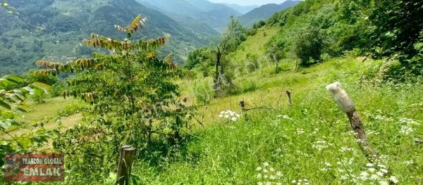 Maçka Günay Mahallesinde Satılık Müstakil, Çok Güzel Arazi